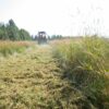 Schlegelmäher 1,75m Kellfri – Bild 8