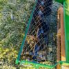 Umkehrfräse mit Krümelwalze 1,45m – Bild 7